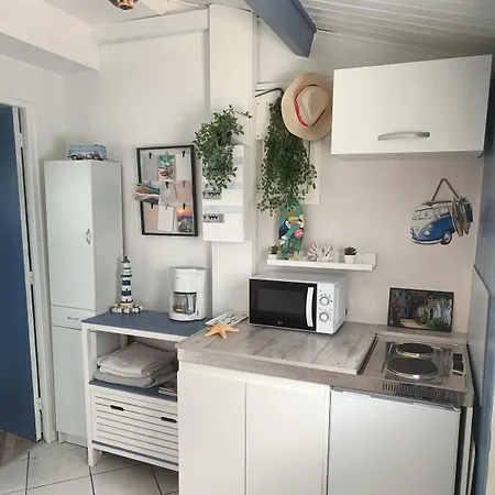 Studio Equipe Avec Exterieur A 10Min De Fouras 아파트 *